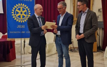 Forza, debolezza, potere e libertà. La realtà di Alessandro Pucci